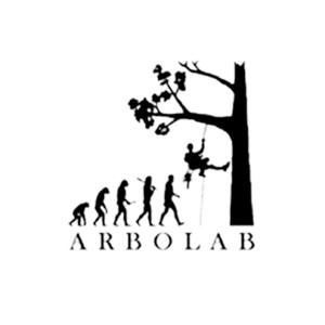 CURSOS ARBOLAB